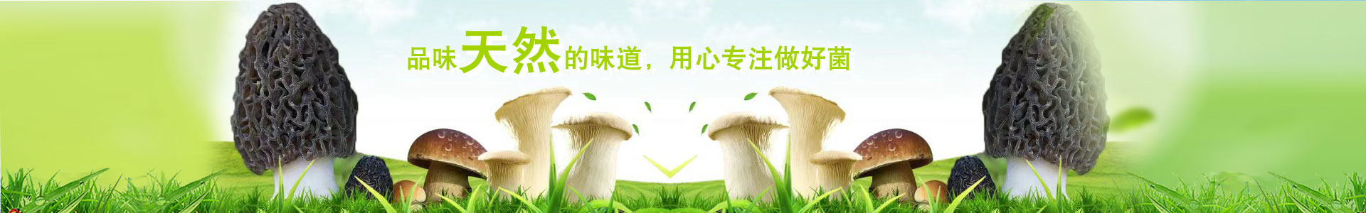 湖南君山萬(wàn)雨合業(yè)生物科技有限公司